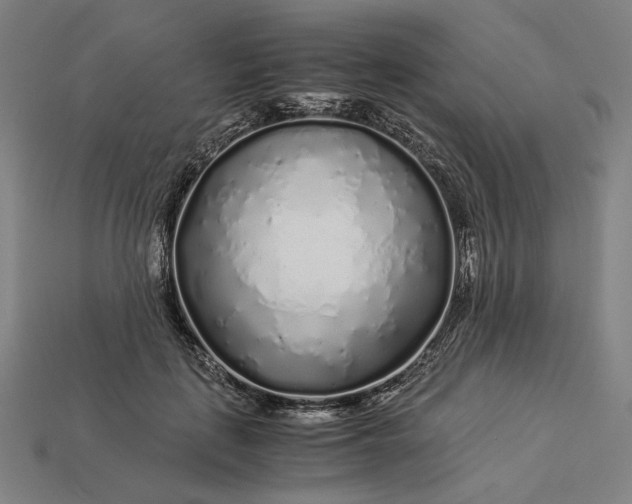 X0000112880651200909111444