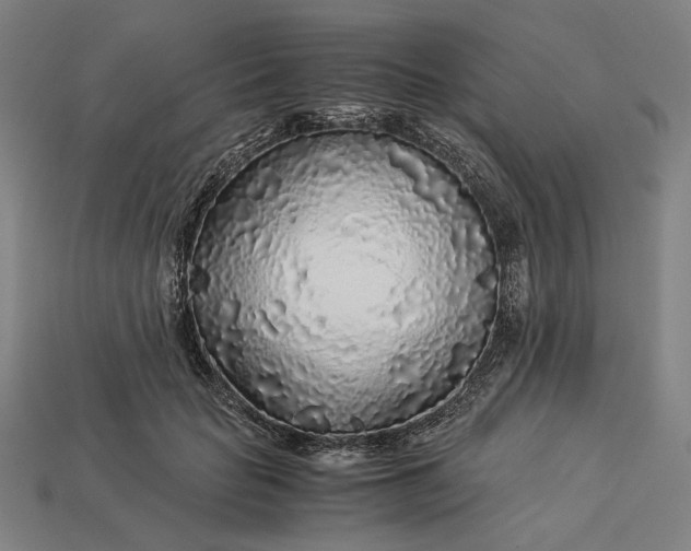 X0000112880653200909111444