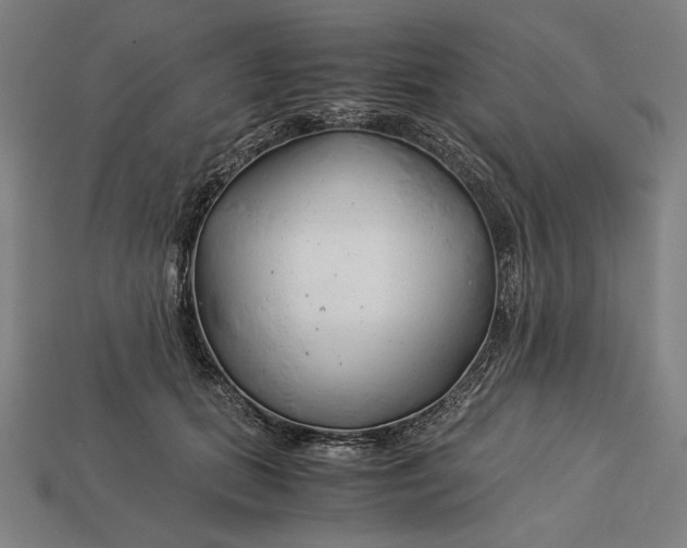 X0000112880655200909111444