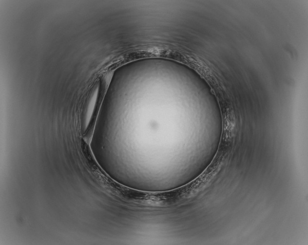 X0000112880656200909111444