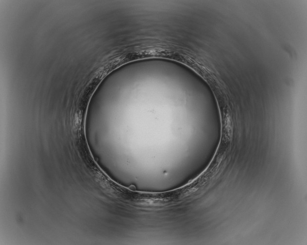 X0000112880657200909111444