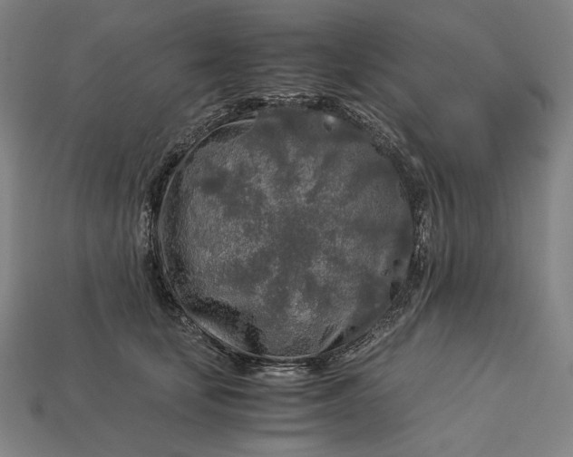 X0000112880659200909111444