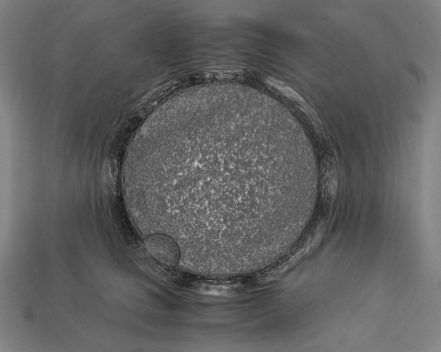 X0000112880661200909111444