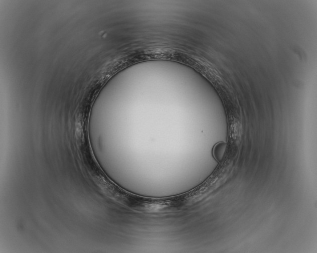 X0000112880662200909111444