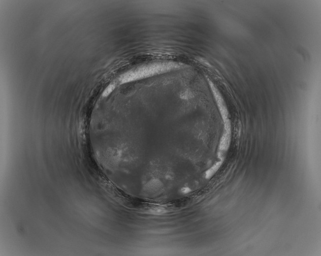 X0000112880663200909111445