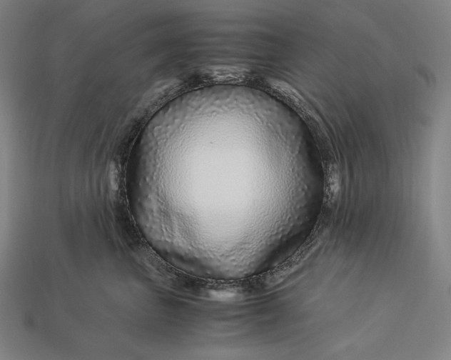 X0000112880667200909111445