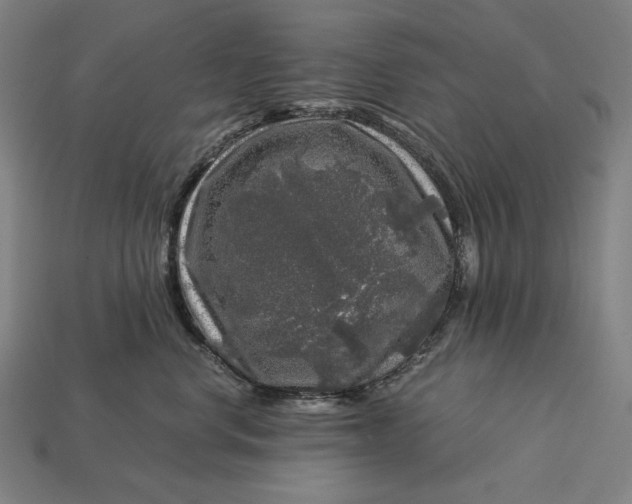 X0000112880668200909111445