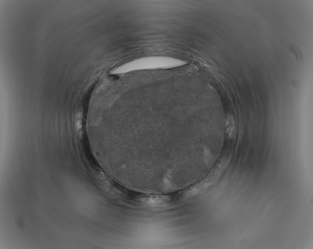 X0000112880670200909111445