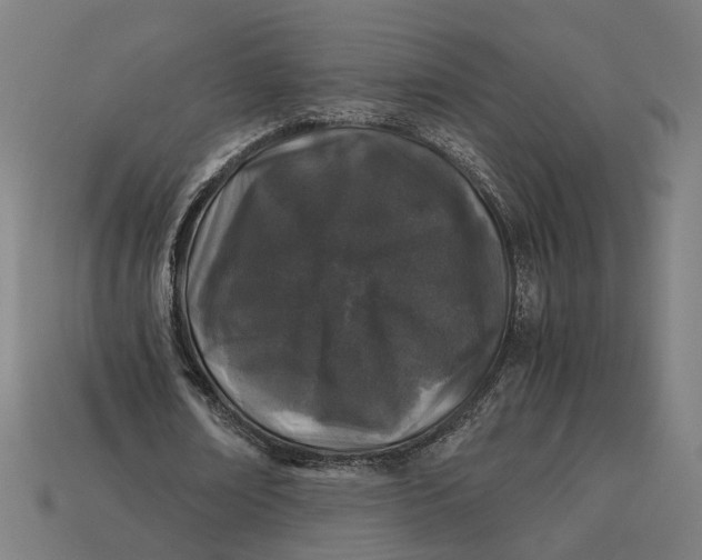 X0000112880674200909111444