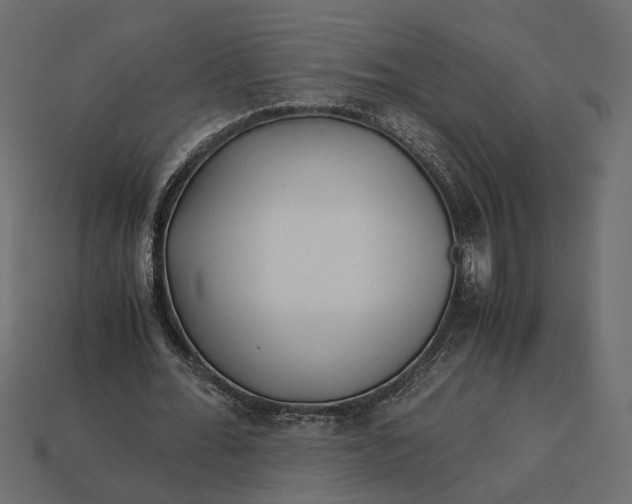 X0000112880676200909111444