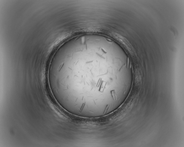 X0000112880677200909111444