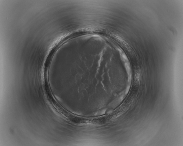 X0000112880678200909111444