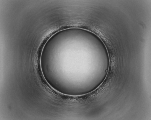 X0000112880679200909111444