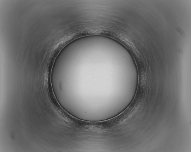 X0000112880681200909111444