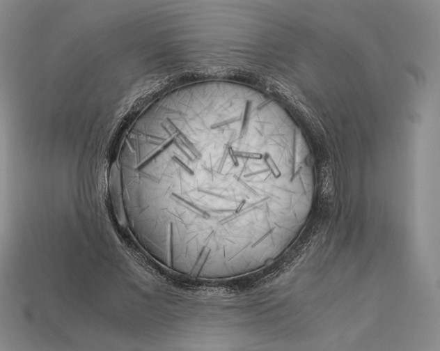 X0000112880685200909111444