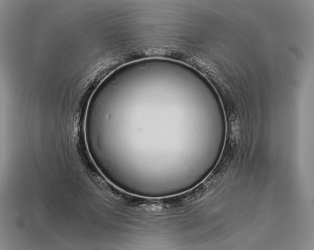 X0000112880687200909111444