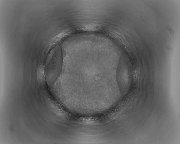 X0000112880688200909111444