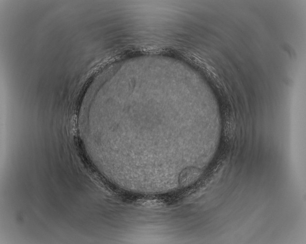 X0000112880689200909111444