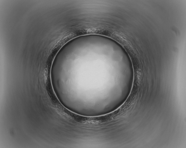 X0000112880691200909111444