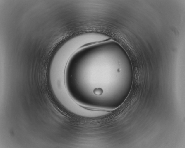 X0000112880692200909111444