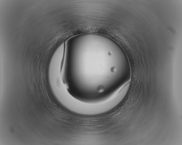 X0000112880693200909111444