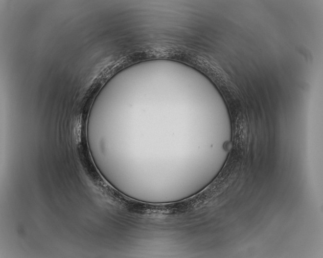 X0000112880694200909111444