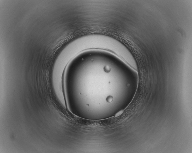 X0000112880696200909111444