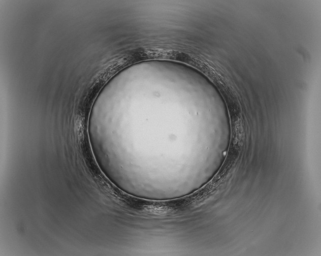 X0000112880699200909111444