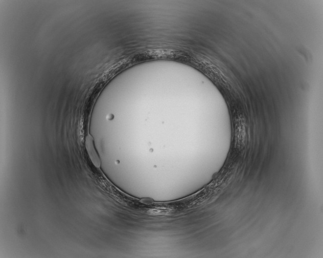 X0000112880700200909111443