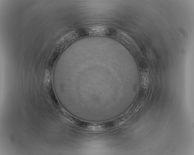 X0000112880701200909111443