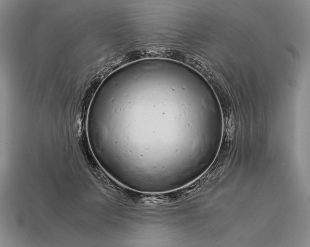 X0000112880703200909111443