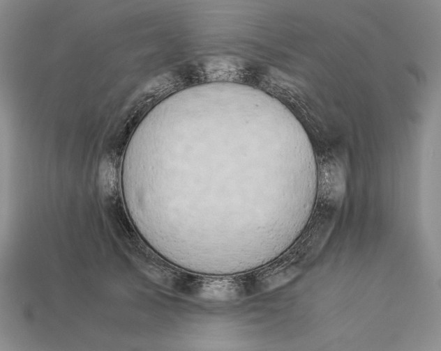 X0000112880705200909111443