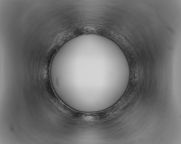 X0000112880706200909111443