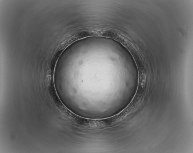 X0000112880707200909111443