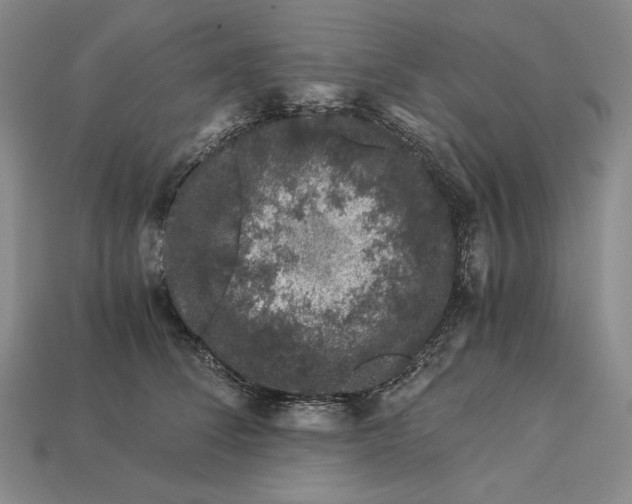 X0000112880708200909111443