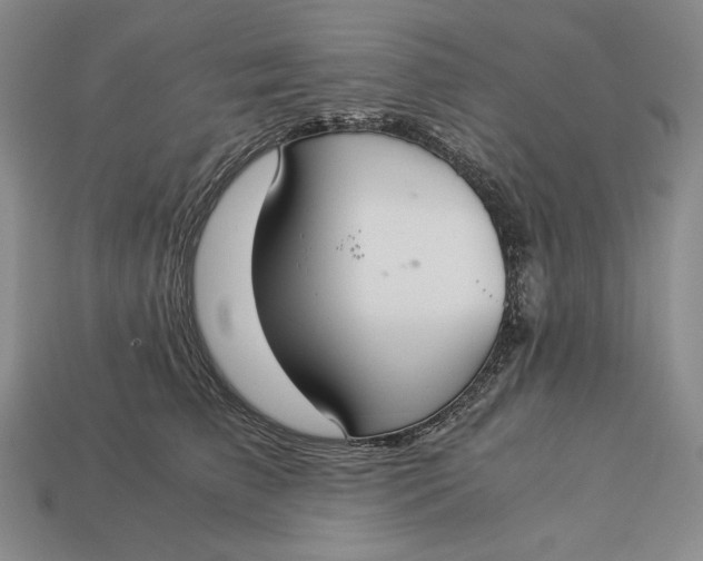 X0000112880709200909111443