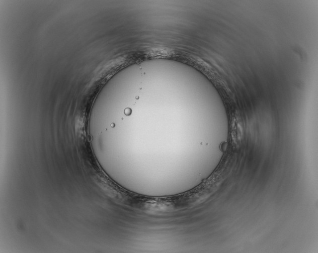 X0000112880714200909111443