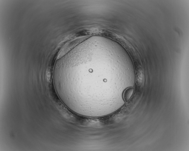 X0000112880715200909111443