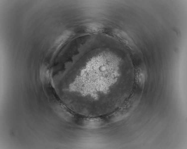 X0000112880716200909111443