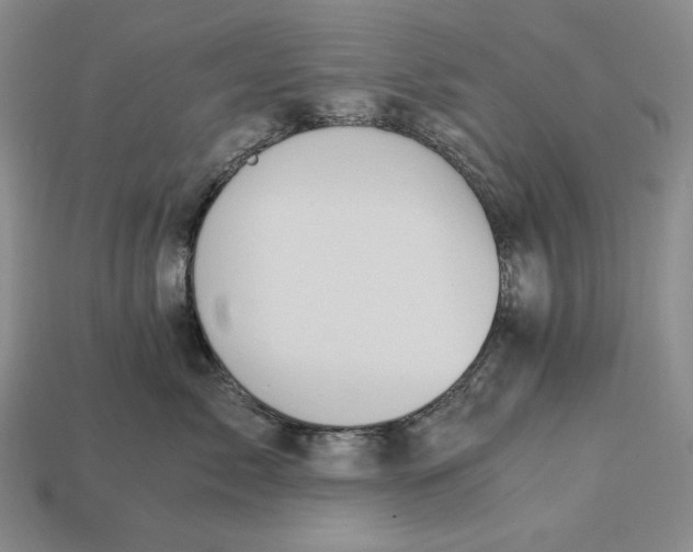 X0000112880717200909111443