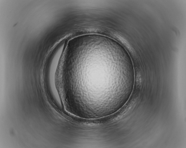 X0000112880722200909111442