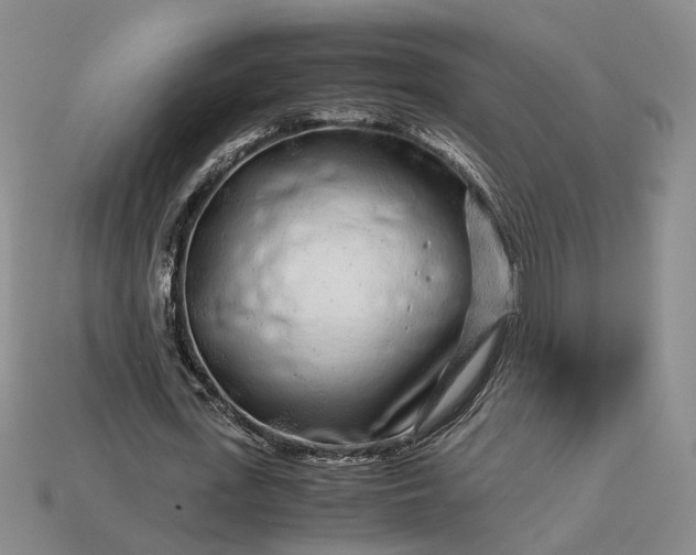 X0000112880723200909111442