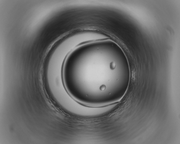 X0000112880724200909111442