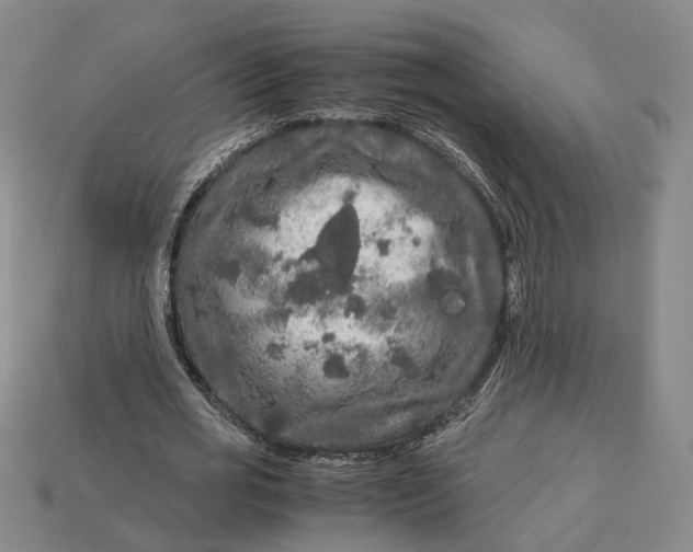 X0000112880725200909111443