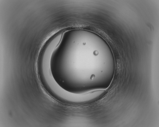 X0000112880726200909111443