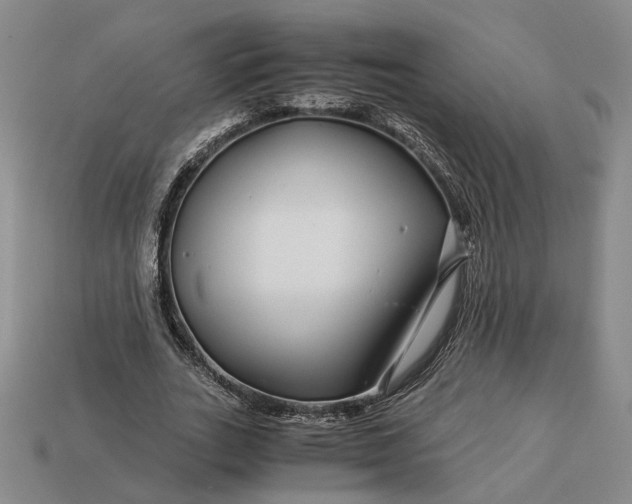 X0000112880727200909111443