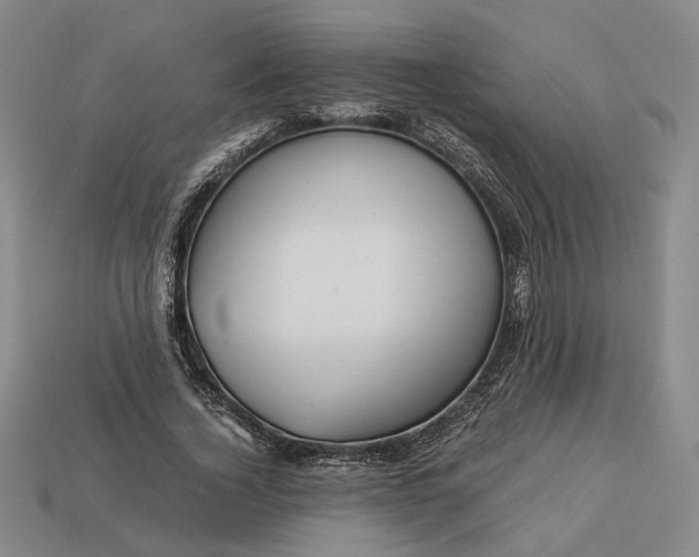 X0000112880732200909111443