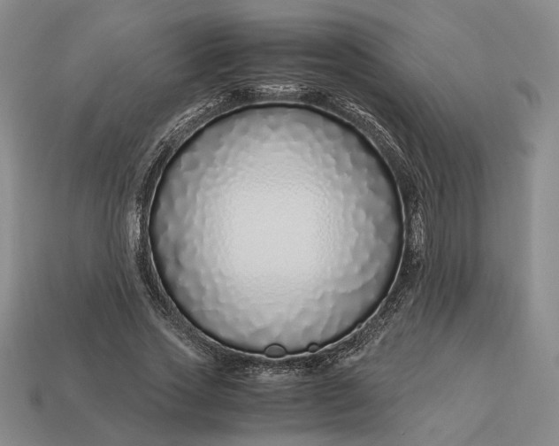 X0000112880733200909111443