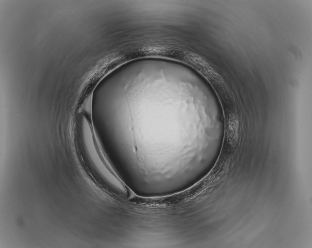 X0000112880734200909111443