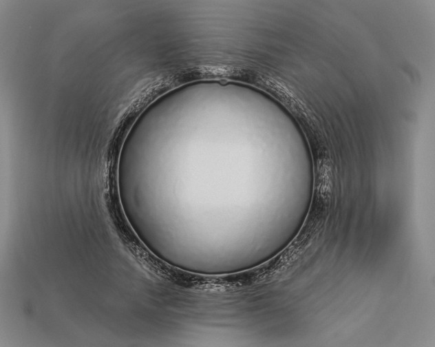 X0000112880738200909111443